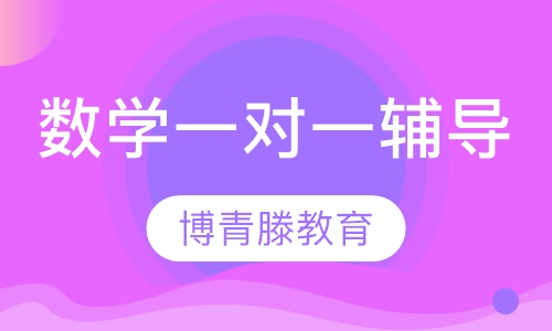 数学一对一辅导