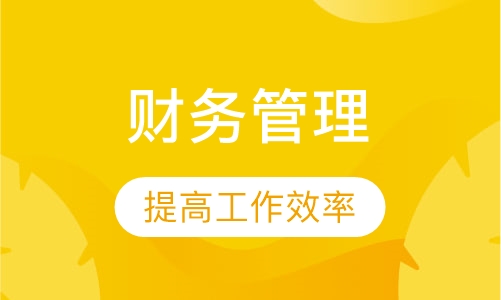 EXCEL在财务管理中的高级应用