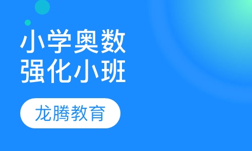 小学奥数课强化小班