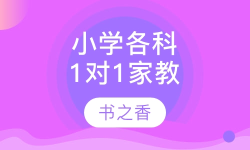 小学1对1全科辅导，小学精品班课