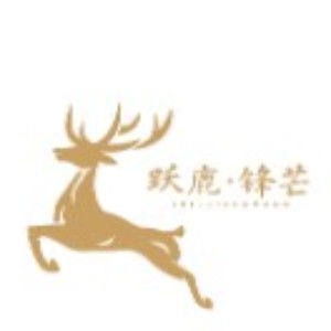 深圳跃鹿锋芒艺考培训