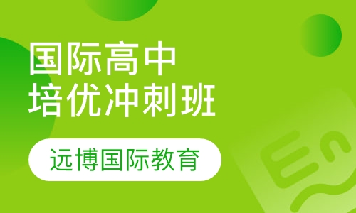国际高中培优冲刺班