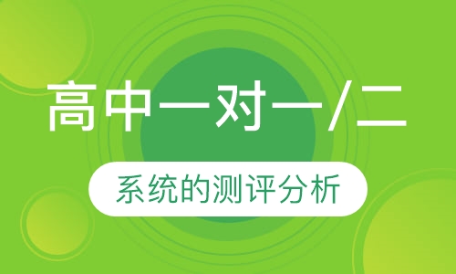 高中一对一/二
