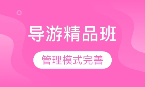 导游证精品班