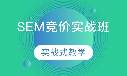 SEM竞价实战班