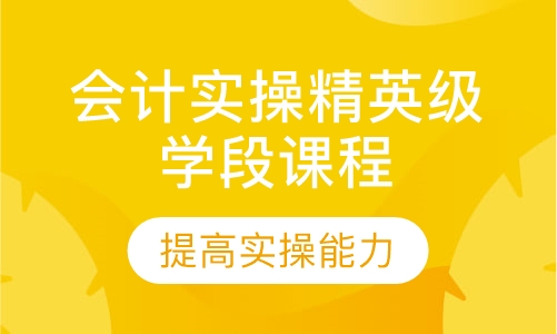 会计实操精英级学段课程