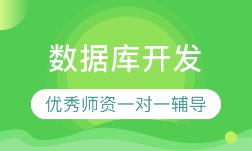 数据库开发