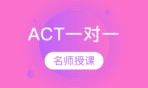 ACT一对一
