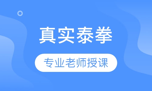 真实泰拳
