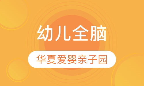 幼儿全脑