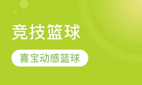 竞技篮球