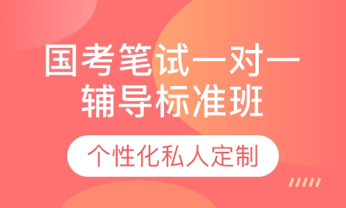 直播课国考笔试一对一辅导标准班