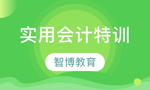 实用会计特训