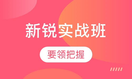 新锐实战班