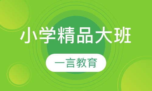 小学辅导精品大班