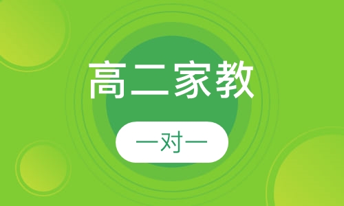 一对一家教辅导高二