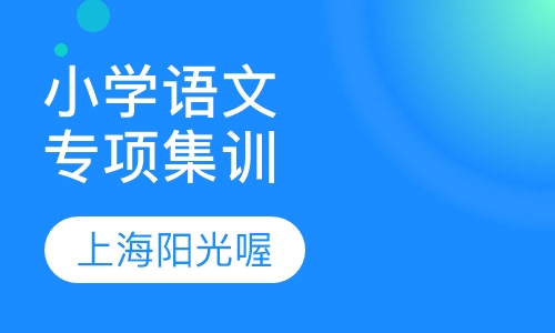 小学语文专项集训