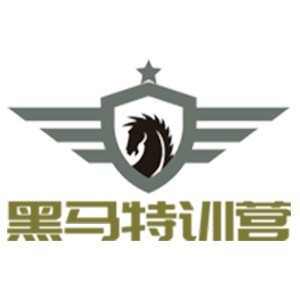 石家庄黑马特训营