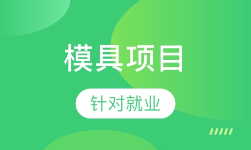 模具项目工程师