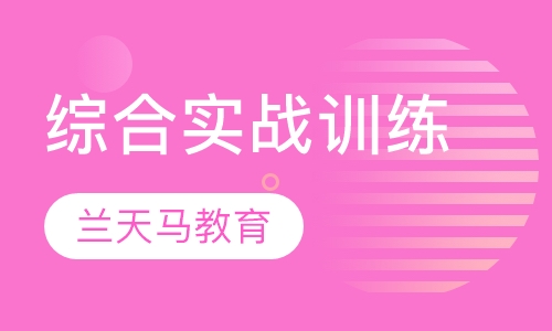 综合实战训练