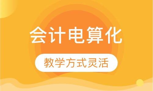会计电算化