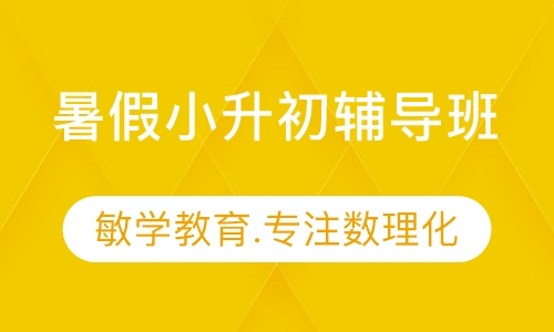 暑假小升初辅导班