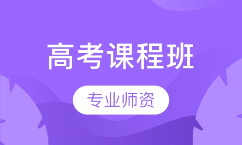 高考课程班