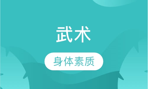 武术