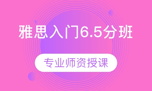 雅思入门6.5分班