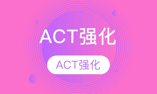 ACT强化课程一对一