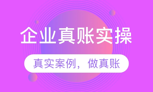 企业真账实操
