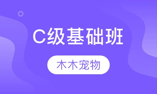 C级基础班