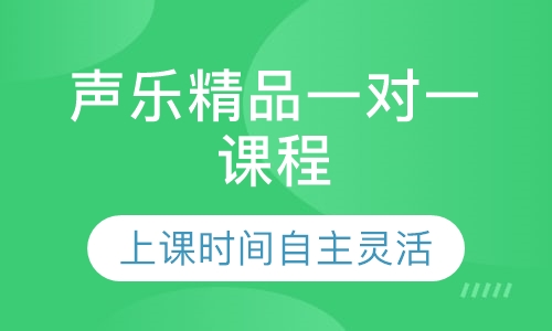 声乐精品一对一课程