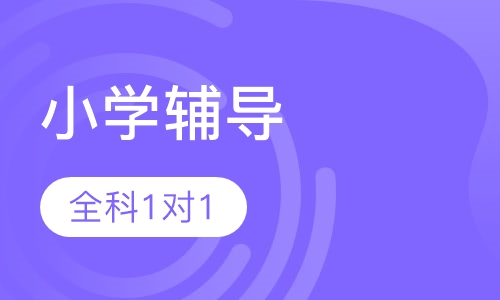 小学全科1对1强化班