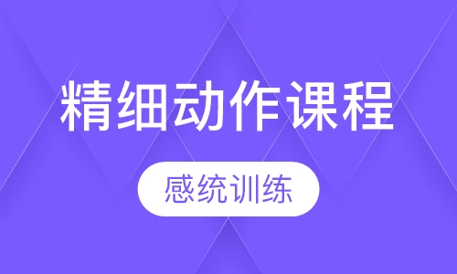 精细动作课程