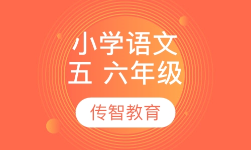 小学五、六年级语文辅导