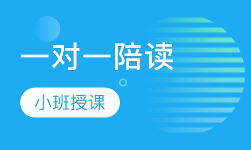 一对一陪读