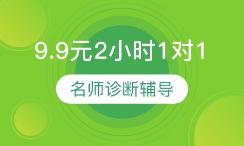 9.9元2小时1对1
