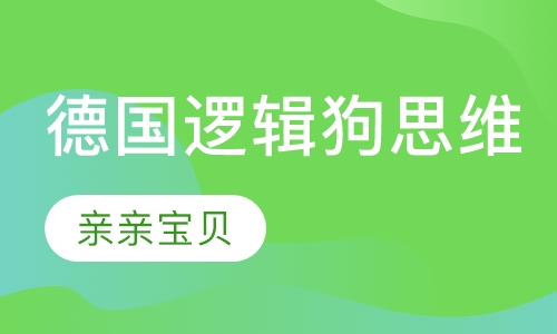 德国逻辑狗思维训练课
