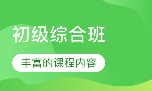 初级综合班