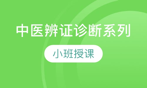 中医辨证诊断系列
