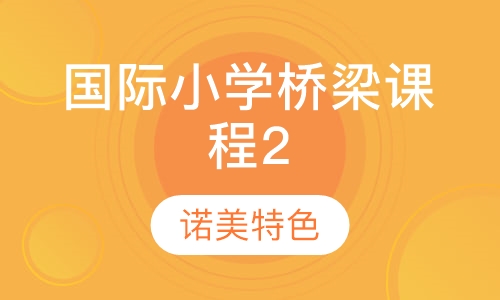 国际小学桥梁课程2