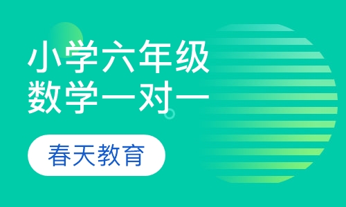 小学六年级数学一对一辅导课程