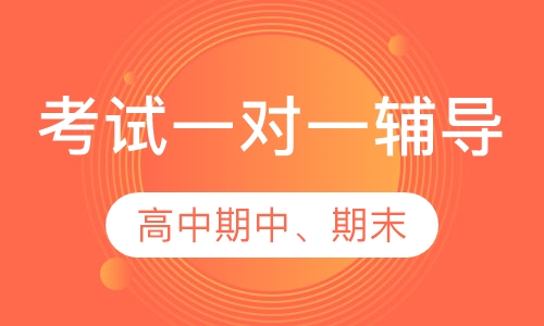 高中期中、期末考试一对一辅导