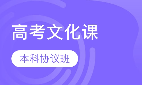高考文化课本科协议班