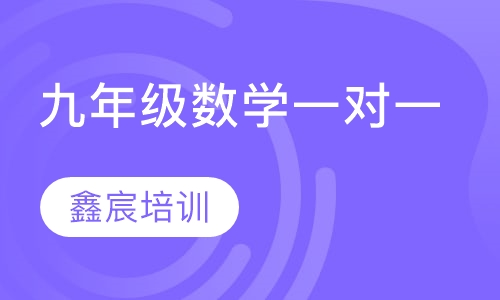 九年级数学一对一