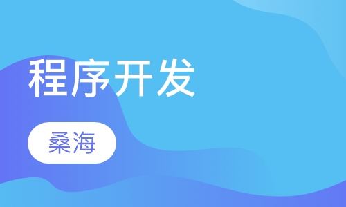 程序开发