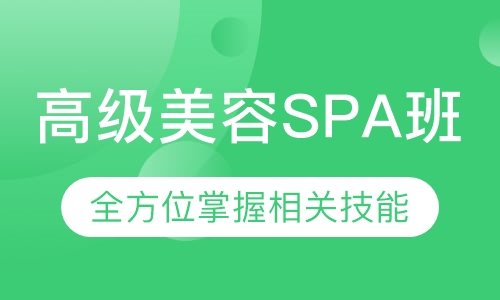 高级SPA班