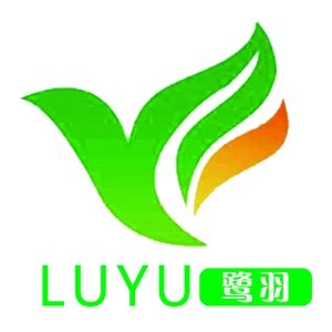 鹭羽艺术学校