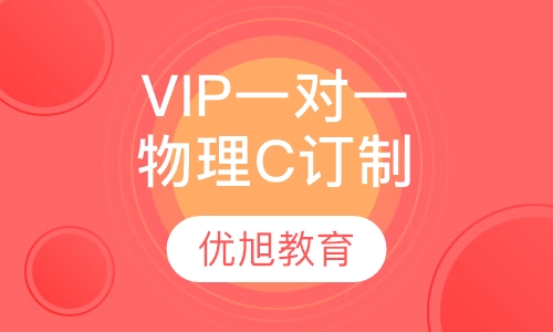 VIP一对一AP Physics C 物理C订制